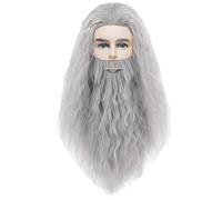 YOUYIKE Sorcier Peruque, Hommes Femmes Longue Magicien Perruques et Fausse Barbe set, Wig pour Cosplay Carnaval Costume Soirée à Thème (Gris)