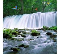 YOZYOOOZ Cascade Forêt Perroquet Paysage Naturel 3D Murale pour Salon Chambre Couloir Moderne Mur Art Décoration de la Maison