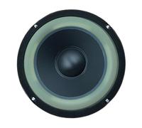 YPBEW Woofer professionnel de 16,5 cm 30 W 4 Ohm Idéal pour la mise à niveau des systèmes sonores et des projets