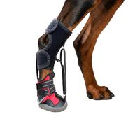 YPDOPORA Chaussures pour Chiens De Petite Et Moyenne Taille, Attelle De Soutien pour Pattes Arrière, Conçue pour Les Problèmes De Pieds Et L'amélioration De La Démarche chez Les Chiens,Rouge,S
