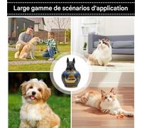 Yplkm Urne pour Animal De Compagnie - Résine Vintage Égyptienne | Boîte À Cendres D Animal,pour Commémorer La Perte Et Le Chagrin À La Maison sur Bureau Ou Étagère pour Honorer Et Chérir Les