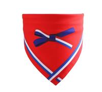 YPREWY Independence Festival Bandana pour chien Costume de cou écharpe collier de vacances imprimé US Bandana réversible pour animal domestique