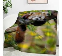 Ypthriline Couverture Petit Panda, Animaux Mignons Plaid Polaire Microfibre Flanelle 130 x 150 cm, Léger, Doux, Chaud et Confortable, Convient aux Chambres et aux Salons