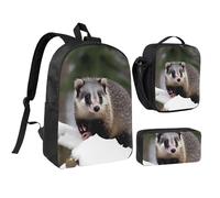 YQxwJL Opossum In Snow Lot de 3 sacs à dos avec boîte à déjeuner et trousse à crayons pour voyage, travail, camping Unisexe