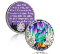 YRCKUDZKG Pièce de sobriété Guidée par Northern Lights de 1 an - Pièce AA d'un jour à la fois, puce de récupération sans alcool d'un an avec capsule de jeton, cadeau de sobriété pour homme et femme