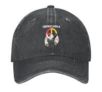YRGSJK Casquette de Baseball réglable Chiricahua Apache Nation Native Medicine Wheel Tactic Party Golf Hommes Cadeaux féminins pour Le Camping en Plein air Randonnée