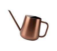 YROHGKPN Arrosoir pour plantes d'intérieur avec long bec, modèle floral