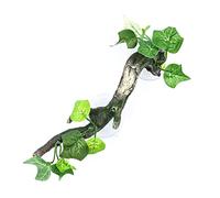 YROHGKPN Branche d'angle en bois avec ventouses - Poisson pour aquarium - Décoration paysagère pour décoration de racine de dragon barbu