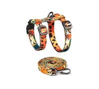 YROHGKPN Kit d'aventure extrêmement léger, 1,5 m, guide, amortissement doux, brume, lait blanc, tisane, élégant accessoire pour animaux de compagnie, filet ventilé, équipement de protection