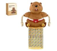 YROHGKPN Le gant de lutte pour chat stimule l'instinct de chasse pour les chats domestiques, enrichit le stress et réduit l'ennui, taquine l'animal et lie les animaux de compagnie