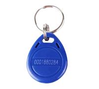 YROHGKPN Porte-clés TK4100 Identifiant de proximité Contrôle d'accès pour porte-clés Tags Carte Porte-clés programmable Protection d'écriture Waterpro Tag Clavier