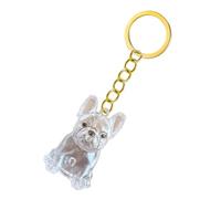 YROHGKPN Porte-clés transparent pour animal de compagnie, bouteille à cheveux, pour ranger les cendres de votre chien et vos cendres, boîte de rangement, porte-clés commémoratif pour chien avec boîte