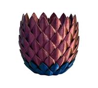 YROHGKPN Pot de fleurs coloré, fond anti-fuite, écailles de dragon, convient pour les cadeaux et la décoration de la maison, pots de plantes pour plantes d'intérieur