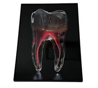YRQMGSF Art Mural de Dents pour Clinique - Cadeaux de Dentiste pour Hommes - Cadeaux d'appréciation pour dentistes, Assistants dentaires, hygiénistes dentaires