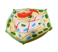 YRQMGSF Modèle de Cellule végétale 3D Modèle Anatomique de Cellule végétale Agrandi Modèle Anatomique des Plantes pour l'enseignement de la biologie