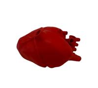 YRQMGSF Modèle de cœur Humain éducatif imprimé en 3D - Modèle des Structures anatomiques du cœur - pour l'enseignement de l'anatomie, l'étude médicale et la cardiologie
