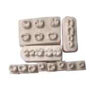 YRQMGSF Modèle en plâtre pour la Pratique des obturations dentaires, modèle de Soins dentaires, modèles d'examen pour la Pratique des Inlays
