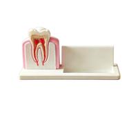 YRQMGSF Porte-Cartes de Visite Dentaire Modèle de Traitement de Canal radiculaire Dent Cadeau pour étudiant en dentisterie à la Remise des diplômes Noël