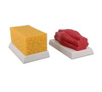 YRQMGSF Réplique de 5 LB de Graisse vs réplique de 5 LB de Muscle - Réplique de Graisse et de Muscle Humain - Modèle en Silicone de Muscle et de Graisse Humaine pour nutritionniste