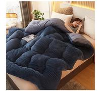 YRRA Duveteux Couette, Épaissir Consolateur Couverture d'hiver en Cachemire d'agneau Épaissi Couette De Lit Doux Et Chaud Literie,Bleu,180x220cm(3kg)