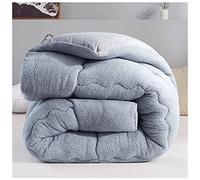 YRRA Duveteux Couette, Épaissir Consolateur Couverture d'hiver en Cachemire d'agneau Épaissi Couette De Lit Doux Et Chaud Literie,Gris,150x200cm（1.5kg）