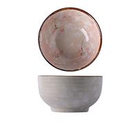 YRthongXy Bol à trempette, Ceramic Season Style Rice Bowls Set of 2,