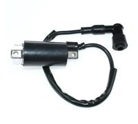 YRTJINYQ Bobine d'allumage Compatible avec Les modèles 79514 79519 79509 79517 79511 79515 79512 79513 79516