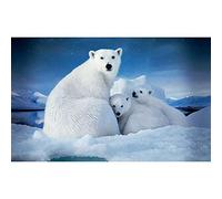 YRTMHU DIY 5D Kit Diamond Painting Personnalisé Ours polaire blanc DIY Kit Point De Croix Cristal Strass Peinture Diamant Personnalisé Kits pour Enfants Adultes 50x70cm