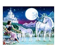 YRTMHU DIY 5D Kit Diamond Painting Personnalisé Princesse de conte de fées et cheval blanc DIY Kit Point De Croix Cristal Strass Peinture Diamant Personnalisé Kits pour Enfants Adultes 50x70cm