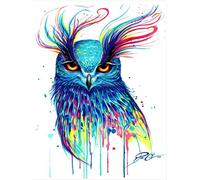 YRTMHU DIY 5D Kit Peinture Diamant Chouette animal peinte Broderie Point de Croix Photos Cristal Diamond Painting Complet Kits Artisanat pour Enfants Adultes Fille (30x40cm)