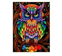 YRTMHU DIY 5D Kit Peinture Diamant Chouette colorée Broderie Point de Croix Photos Cristal Diamond Painting Complet Kits Artisanat pour Enfants Adultes Fille (30x40cm)