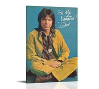 YRWOERHWER Poster Hell Yeah David Cassidy - Impression sur toile moderne et esthétique pour salon, chambre à coucher - 20 x 30 cm - Style cadre