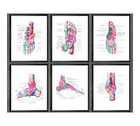 YRZYT Pied Os Anatomie Affiche Podologie Art MéDical Toile Peinture MéDecine Murale Art Aquarelle Imprime MéDecin Cadeau Clinique Bureau Decoration 30x40cmx6 sans Cadre
