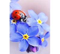 YSCOLOR Diamond Painting 2019 Complet 5D DIY Coccinelle Diamant Peinture Point De Croix Broderie Diamant Cristal Mosaïques Famille Décor Cadeaux 30X40cm