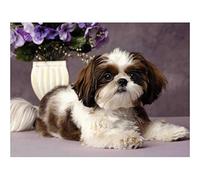 YSCOLOR Diamond Painting 5D Diamant Peinture Kit Shih Tzu Chien Bricolage Rond Art Toile Artisanat Maison Décoration Murale cadeau 30x40cm