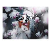 YSCOLOR Diamond Painting 5D Diamant Peinture Kits Berger Australien Animal Chien De Compagnie Bricolage Plein Forage Strass Broderie Photos Pour Adultes Cadeau Z1227 30x40cm