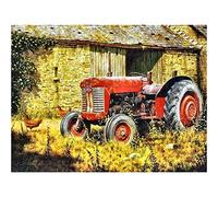 YSCOLOR Diamond Painting 5D Diamant Peinture Kits Pour Enfants Ronde Perceuse Ferme Tracteur Kits Pour Adulte Strass Broderie Diy Maison Salon Décoration Murale 30x40cm