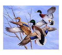 YSCOLOR Diamond Painting 5D Diamant Peinture Kits Vol Colvert Canard Sauvage Pleine Perceuse Perles Rondes Diamant Art Gemmes Pierre Bricolage Kits Décoration Murale 30x40cm