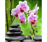 YSCOLOR Diamond Painting 5D Diamant Peinture Zen Pleine Perceuse Bricolage Orchidée Pierre Broderie Fleur Décoration De La Maison Plein Diamant Rond 30x40cm