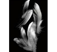 YSCOLOR Diamond Painting 5D Diy Diamant Peinture Point De Croix Diamant Broderie Blanc Noir Art Plume Complet Ronde Diamant Mosaïque Strass Couture 30X40cm