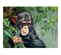 YSCOLOR Diamond Painting 5D Ronde Diamant Broderie Chimpanzé Animaux Images De Strass Diamant Mosaïque Peinture Complète Ronde Diamant Points Singe 30X40Cm