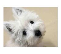 YSCOLOR Diamond Painting Adultes Diamant Peinture Kits West Highland White Terriers Chiens Bricolage Complet Par Numéro Art Peinture Artisanat Décoration Murale Cadeaux Pour La Maison 30x40cm