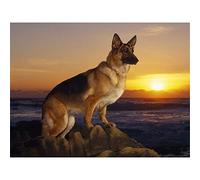 YSCOLOR Diamond Painting Berger Allemand Diamant Peinture Complète Rond Pierre De Chien De Diamant Broderie De Strass DIY Passe-Temps Couture Peinture Art 30X40Cm