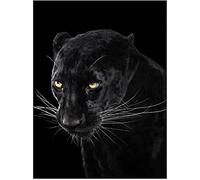 YSCOLOR Diamond Painting Bricolage 5D Diamant Peinture Kits Pour Adulte Panthère Noire Pleine Ronde Perceuse Photos Diamant Art Artisanat Toile Décor À La Maison 30x40cm