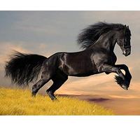 YSCOLOR Diamond Painting Dark Horse Diamant Broderie 5D DIY Diamant Peinture Perçage Rond Strass Collé Point De Croix Artisanat Couture 30X40cm