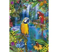 YSCOLOR Diamond Painting Décor À La Maison 5D DIY Broderie Forêt Perroquet Diamant Peinture Point De Croix Complet Rond Forage Strass 2019 Inachevé 30X40cm