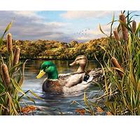 YSCOLOR Diamond Painting Décoration De Ménage 5D Diamant Peinture Canard Sauvage Broderie Point De Croix Merci Donner Cadeaux De Jour Enfants Stickers Muraux Et Muraux 30X40Cm