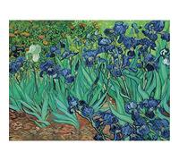 YSCOLOR Diamond Painting Diamant Complet Broderie Van Gogh Iris Diamant Mosaïque Point De Croix Picutre De Strass Home Decor Cadeau De Noël 30X40Cm