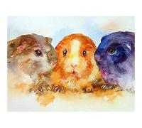 YSCOLOR Diamond Painting Diamant Mosaïque Mignon Cochon De Guinée Diamant Peinture Point De Croix Animal Diamant Broderie Complet Rond Pierres Affichage Artisanat 30X40Cm