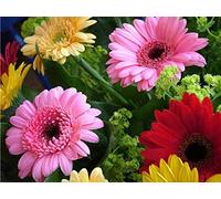 YSCOLOR Diamond Painting Diamant Peinture 3D Fleur Gerbera Complet Rond Diamant Broderie 5D DIY Point De Croix Diamant Mosaïque Needlework Décoration Murale 30X40Cm